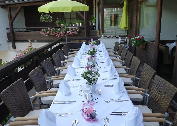 ألبينهوف بوستيليون فندق 3*